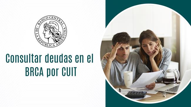 Consultar deudas en el BRCA por CUIT